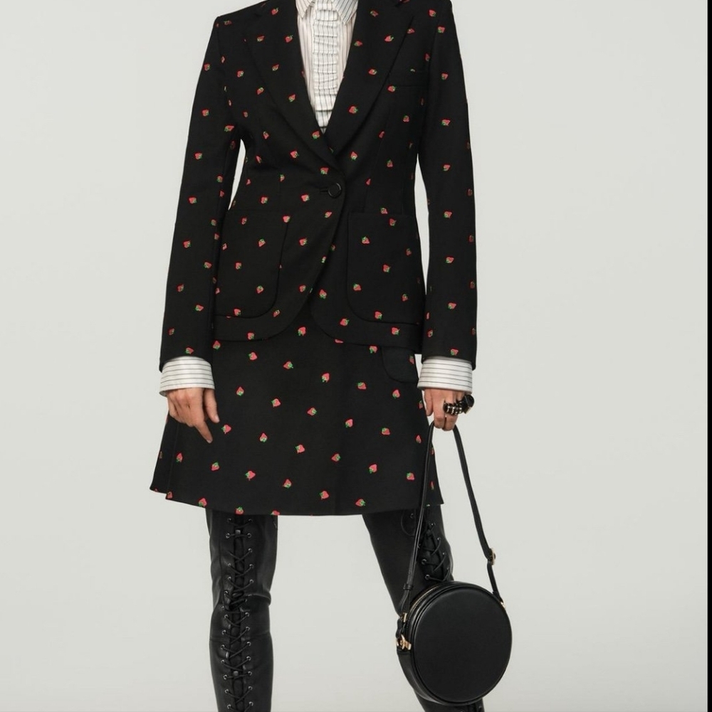 Zara X Stefano Pilati Collection Wool Blend Embroidered Strawberry Skirt